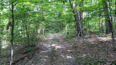 Vinton County Ohio Land for Sale - image 20