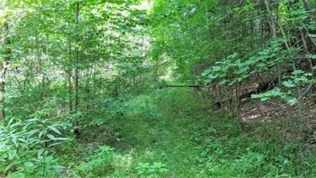 Vinton County Ohio Land for Sale - image 37