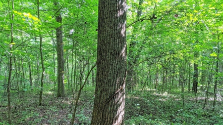 Vinton County Ohio Land for Sale - image 14
