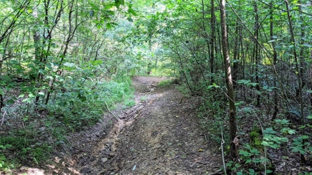 Vinton County Ohio Land for Sale - image 6
