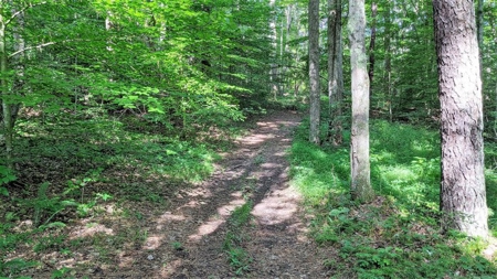 Vinton County Ohio Land for Sale - image 4