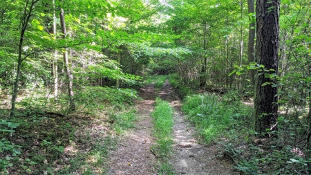 Vinton County Ohio Land for Sale - image 5