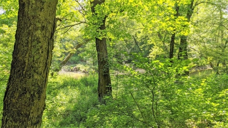 Vinton County Ohio Land for Sale - image 36