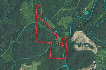 Vinton County Ohio Land for Sale - image 41