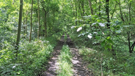Vinton County Ohio Land for Sale - image 30