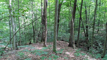 Vinton County Ohio Land for Sale - image 27