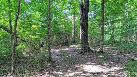 Vinton County Ohio Land for Sale - image 15