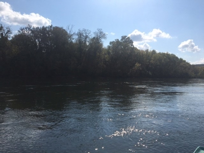 Riverfront Acreage On White River In Calico Rock, Arkansas - image 4