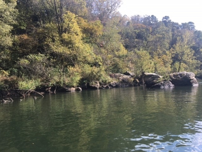 Riverfront Acreage On White River In Calico Rock, Arkansas - image 8