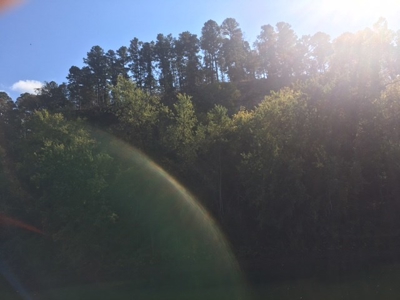 Riverfront Acreage On White River In Calico Rock, Arkansas - image 6