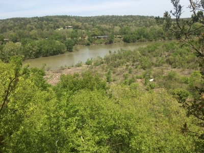 Riverfront Acreage On White River In Calico Rock, Arkansas - image 17