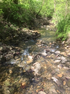 Riverfront Acreage On White River In Calico Rock, Arkansas - image 12