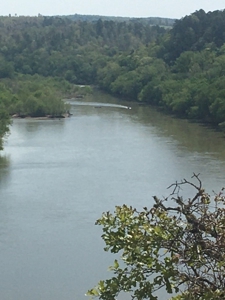 Riverfront Acreage On White River In Calico Rock, Arkansas - image 10