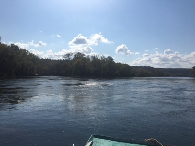 Riverfront Acreage On White River In Calico Rock, Arkansas - image 3