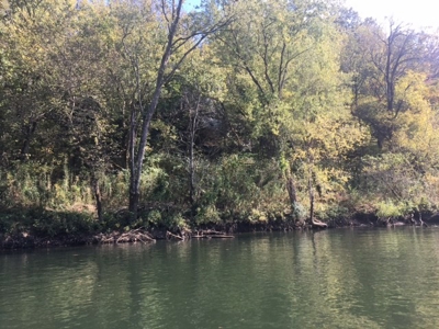 Riverfront Acreage On White River In Calico Rock, Arkansas - image 9