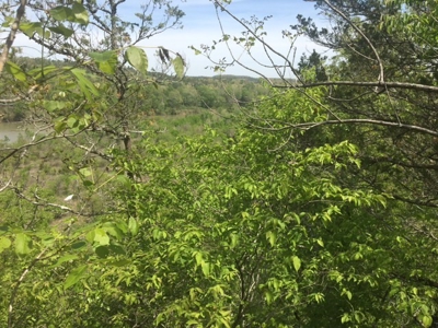 Riverfront Acreage On White River In Calico Rock, Arkansas - image 20