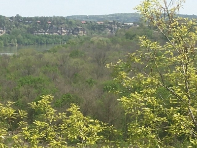 Riverfront Acreage On White River In Calico Rock, Arkansas - image 18