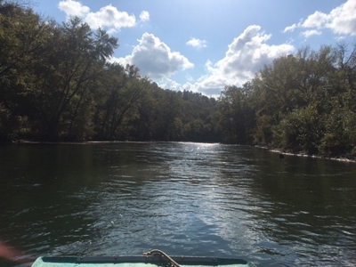 Riverfront Acreage On White River In Calico Rock, Arkansas - image 7