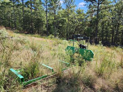 Off-Grid Cabin & 50 Acre Homestead – Adj. National Forest - image 18