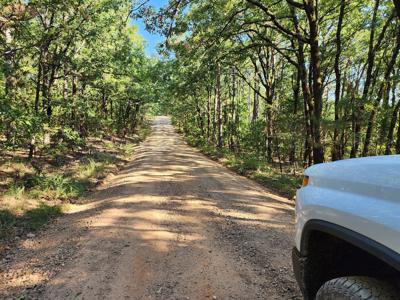 Off-Grid Cabin & 50 Acre Homestead – Adj. National Forest - image 25