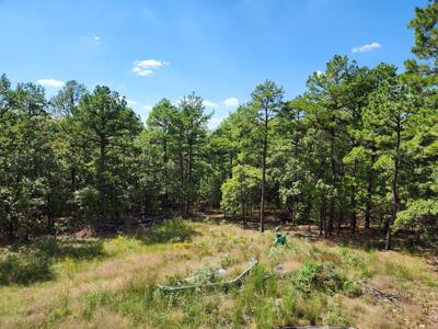 Off-Grid Cabin & 50 Acre Homestead – Adj. National Forest - image 15