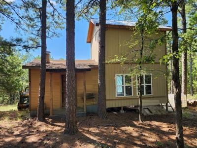 Off-Grid Cabin & 50 Acre Homestead – Adj. National Forest - image 11