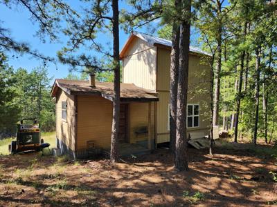 Off-Grid Cabin & 50 Acre Homestead – Adj. National Forest - image 10