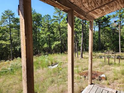 Off-Grid Cabin & 50 Acre Homestead – Adj. National Forest - image 14