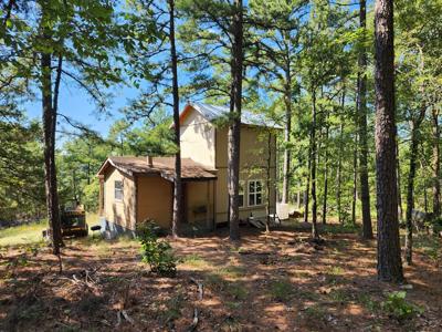 Off-Grid Cabin & 50 Acre Homestead – Adj. National Forest - image 9