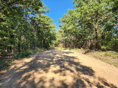 Off-Grid Cabin & 50 Acre Homestead – Adj. National Forest - image 24