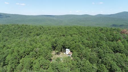 Off-Grid Cabin & 50 Acre Homestead – Adj. National Forest - image 2