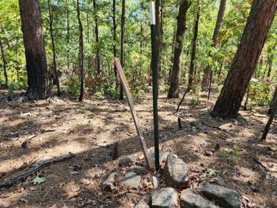 Off-Grid Cabin & 50 Acre Homestead – Adj. National Forest - image 16