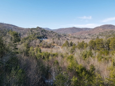 Acreage for Sale Bordering South Mountain State Park - image 6