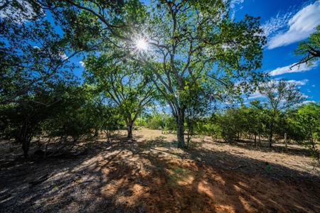110+/- AC Hunting & Cattle Ranch Just South of San Antonio! - image 17