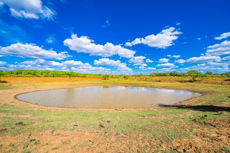 110+/- AC Hunting & Cattle Ranch Just South of San Antonio! - image 9