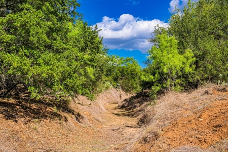 110+/- AC Hunting & Cattle Ranch Just South of San Antonio! - image 16