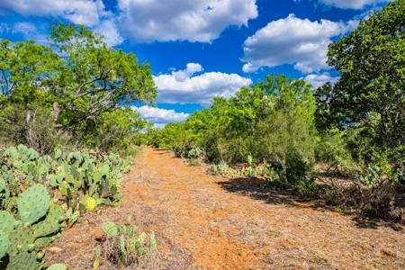 110+/- AC Hunting & Cattle Ranch Just South of San Antonio! - image 18