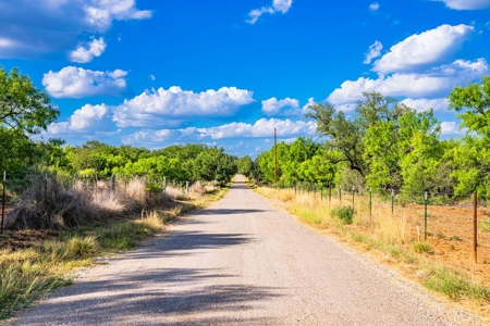 110+/- AC Hunting & Cattle Ranch Just South of San Antonio! - image 24