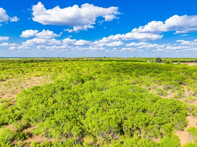 110+/- AC Hunting & Cattle Ranch Just South of San Antonio! - image 2