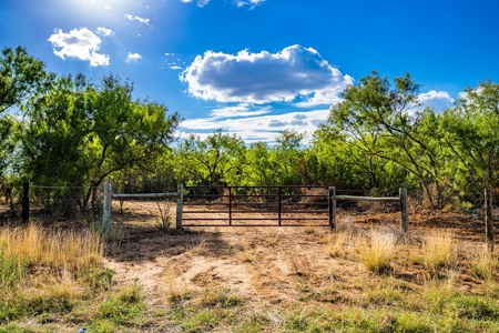 110+/- AC Hunting & Cattle Ranch Just South of San Antonio! - image 25