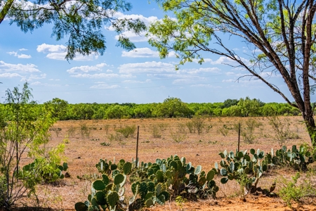 110+/- AC Hunting & Cattle Ranch Just South of San Antonio! - image 5