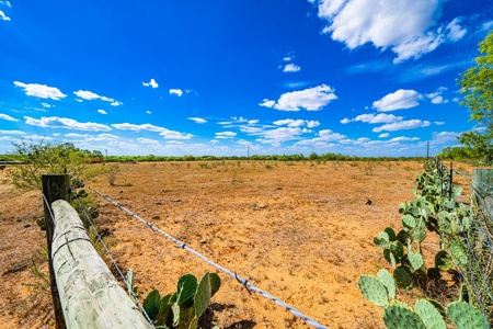 110+/- AC Hunting & Cattle Ranch Just South of San Antonio! - image 7