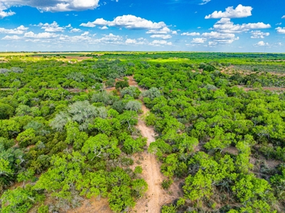 110+/- AC Hunting & Cattle Ranch Just South of San Antonio! - image 4