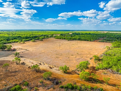 110+/- AC Hunting & Cattle Ranch Just South of San Antonio! - image 3