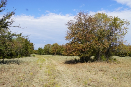 Hunting, Pasture, Land Near Kerr Lake For Sale Oklahoma - image 15