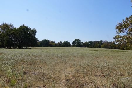 Hunting, Pasture, Land Near Kerr Lake For Sale Oklahoma - image 14