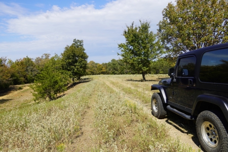 Hunting, Pasture, Land Near Kerr Lake For Sale Oklahoma - image 16