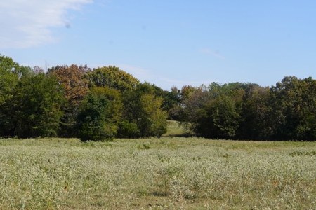 Hunting, Pasture, Land Near Kerr Lake For Sale Oklahoma - image 21