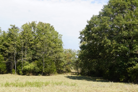 Hunting, Pasture, Land Near Kerr Lake For Sale Oklahoma - image 23