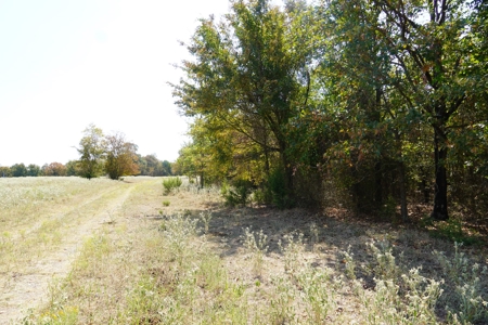 Hunting, Pasture, Land Near Kerr Lake For Sale Oklahoma - image 17